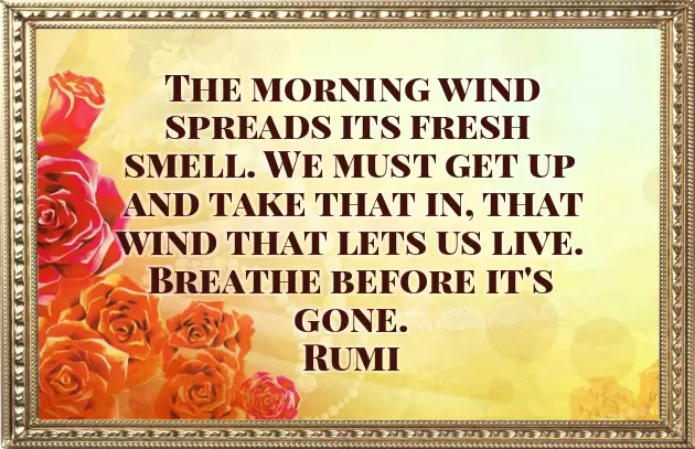 Short Morning Greetings Short Morning Greetings