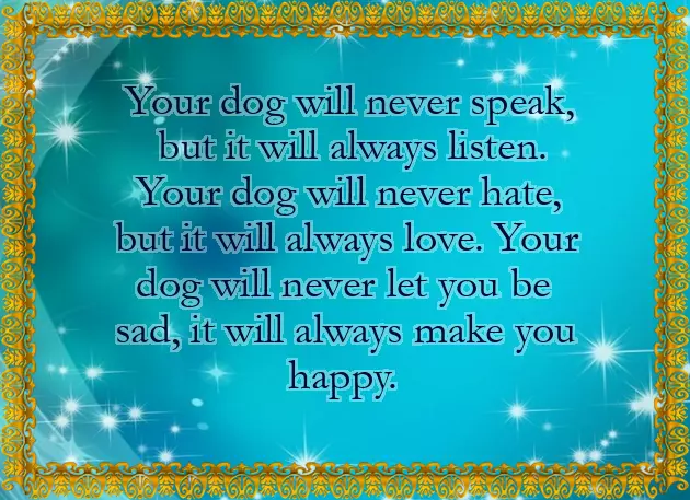 Congratulations On Your New Pet Congratulations On Your New Pet