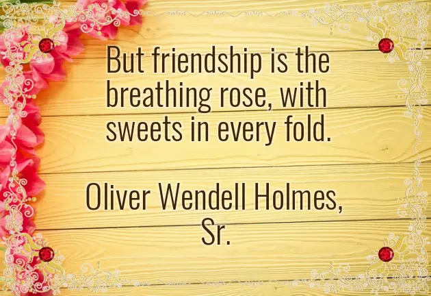 Good Morning Wishes Rose Good Morning Wishes Rose