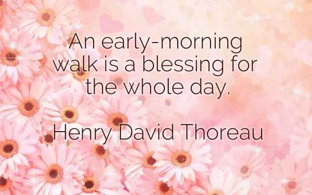 Good Morning Message To You My Love