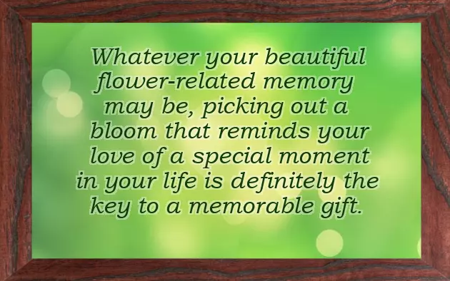 Golden Wedding Anniversary Rose Golden Wedding Anniversary Rose