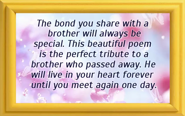 Non Religious Poems For Funerals Non Religious Poems For Funerals