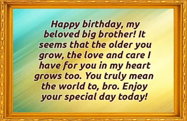 Birthday Quotes For Your Brother Birthday Quotes For Your Brother