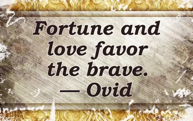 Giving Importance Quotes Giving Importance Quotes