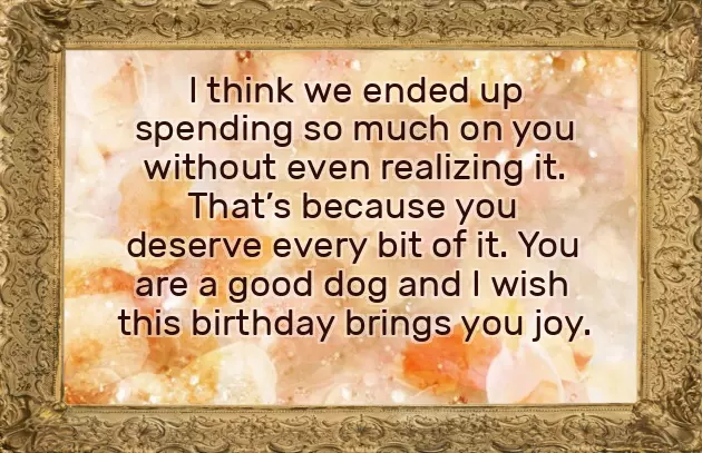 Birthday Wishes From Dog Birthday Wishes From Dog