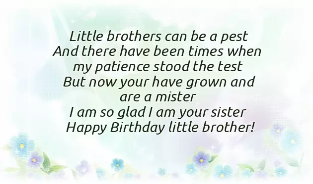 Happy Birthday Brother From Sister Funny