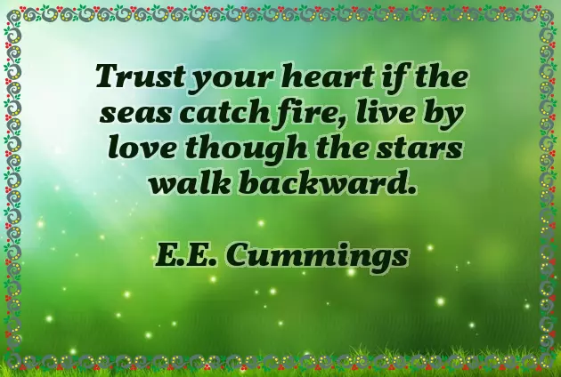 You Are A Star Quotes You Are A Star Quotes