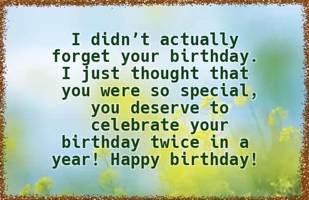 Belated Birthday Wishes Funny Belated Birthday Wishes Funny