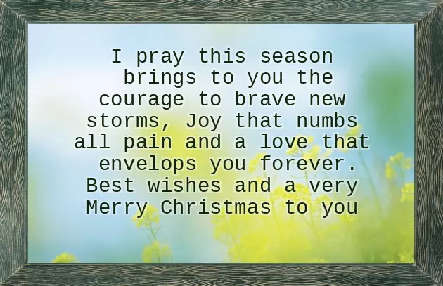 Have A Wonderful Christmas And Happy New Year Have A Wonderful Christmas And Happy New Year