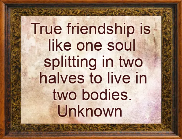 Birthday Wishes For Lady Best Friend Birthday Wishes For Lady Best Friend