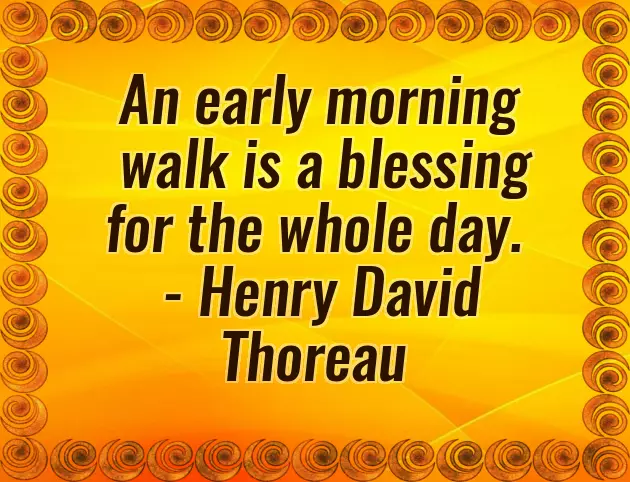 Good Morning Wishes With Beautiful Scenery Good Morning Wishes With Beautiful Scenery