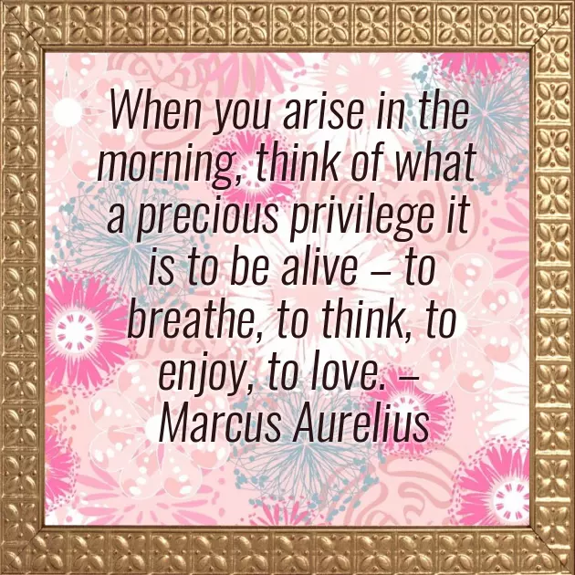 Ayat Wish Goodnight Ayat Wish Goodnight