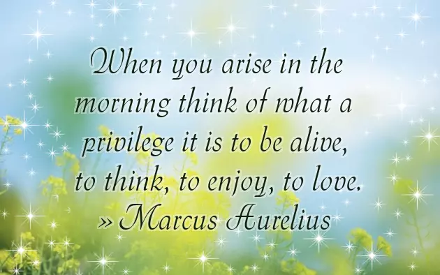 Ayat Wish Goodnight Ayat Wish Goodnight