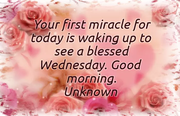 Happy Wednesday Good Morning Happy Wednesday Good Morning