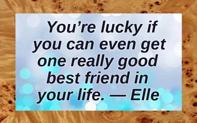 Quotes About Kissing