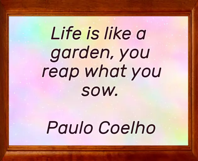 Plant Quotes Short Plant Quotes Short