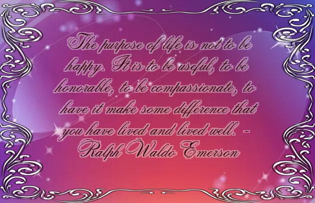 Funny Wednesday Greetings