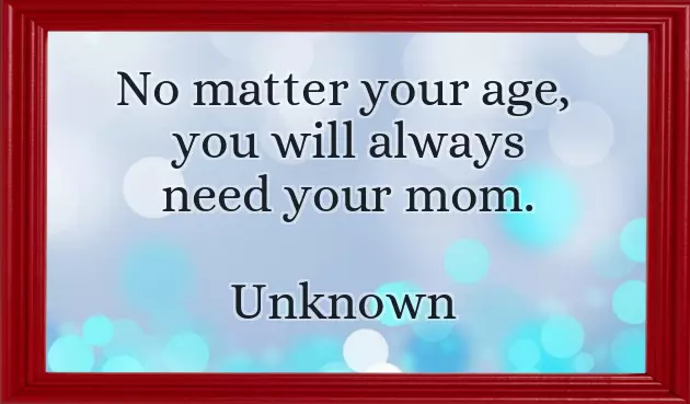 Happy Bday Quotes For Mother