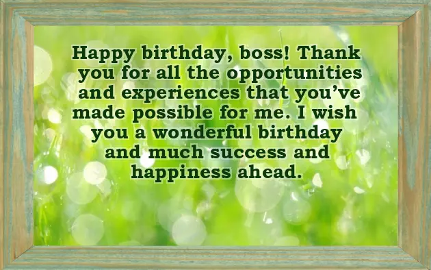 Happy Birthday Message To Boss Happy Birthday Message To Boss