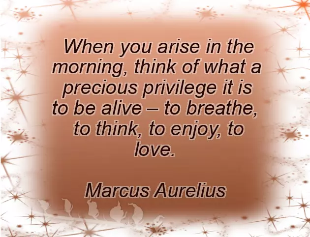 Good Night Good Morning Message Good Night Good Morning Message