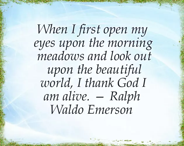 Sweet Good Morning Message To My Lovely Wife Sweet Good Morning Message To My Lovely Wife