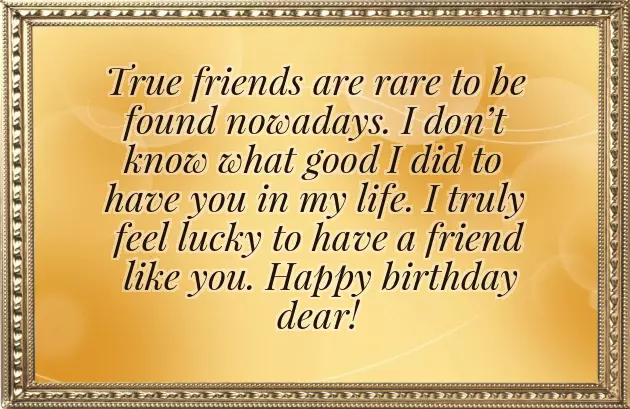 Birthday Quotes For Annoying Friend Birthday Quotes For Annoying Friend