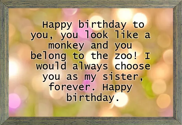 Funny Happy Birthday Big Sister Funny Happy Birthday Big Sister