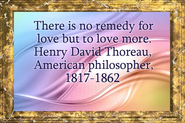 Wedding Congratulations Message Funny Wedding Congratulations Message Funny