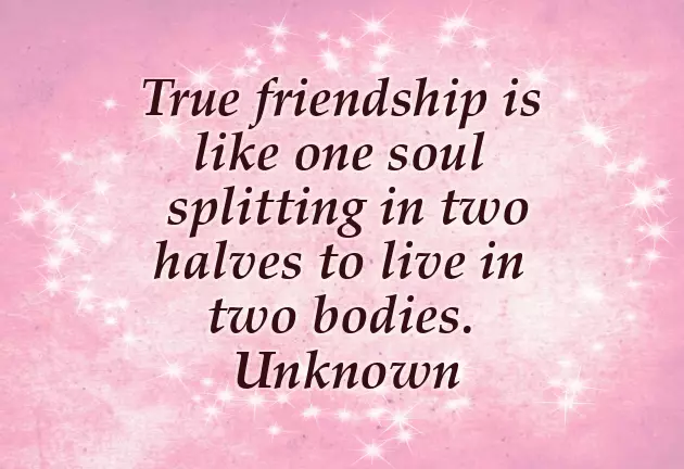 Birthday Quotation For Best Friend Birthday Quotation For Best Friend