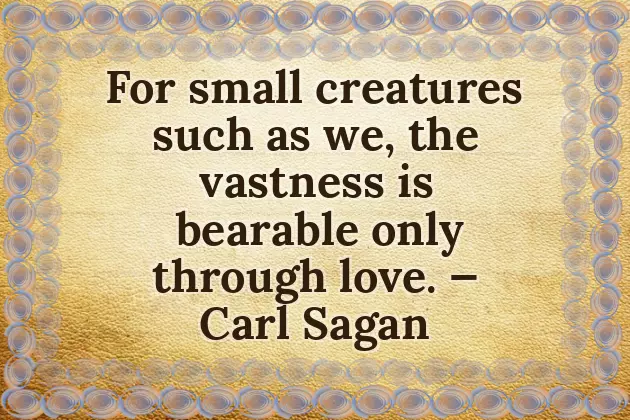 Birthday Quotes From Husband To Wife