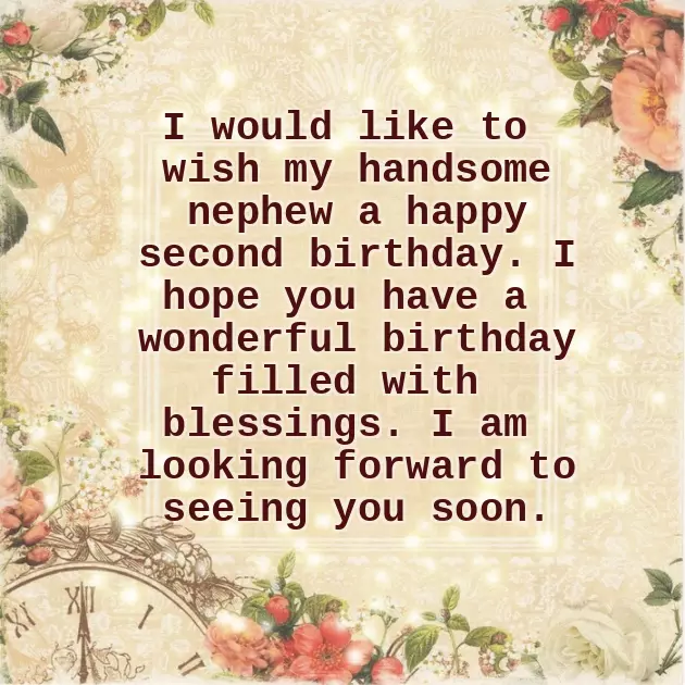 Funny Birthday Nephew Funny Birthday Nephew