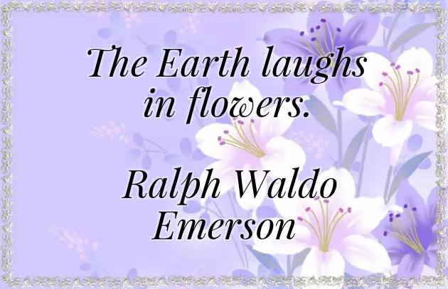 A Happy Easter Message A Happy Easter Message