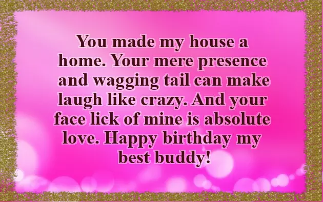 Fathers Day Message From The Dog