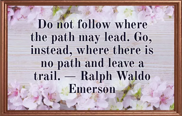 Frustrated Life Quotes Frustrated Life Quotes