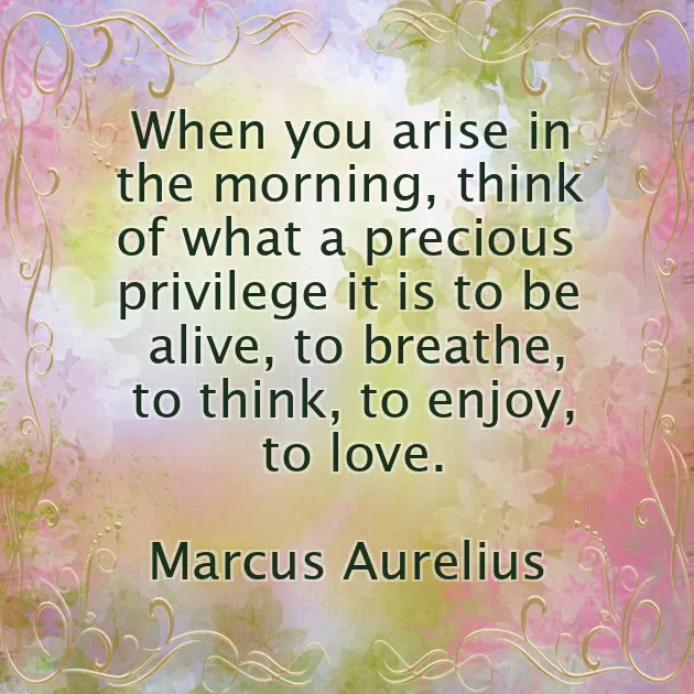 Good Morning Wishes Good Morning Wishes