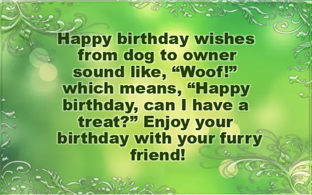 Birthday Wishes From The Dog