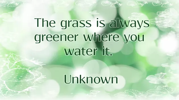 I Wish You Quotes I Wish You Quotes