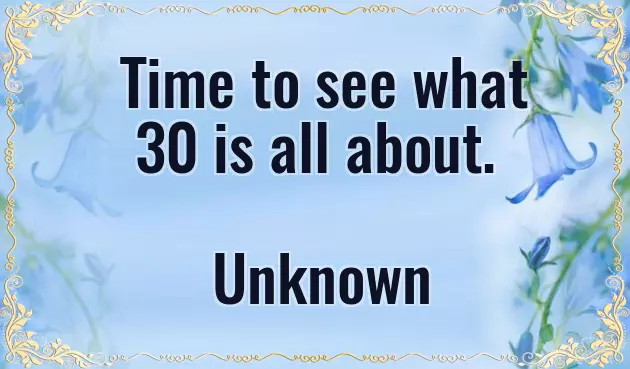 Funny 30Th Birthday Quotes Funny 30Th Birthday Quotes