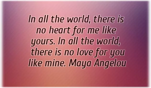 Wedding Reception Quotes