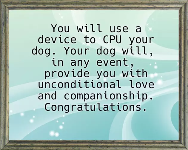 Congratulations On New Dog