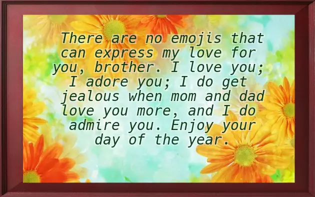 Brother Birthday Wishes Big Brother Brother Birthday Wishes Big Brother