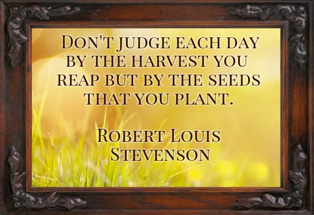 Good Morning Wishes On Tuesday Good Morning Wishes On Tuesday