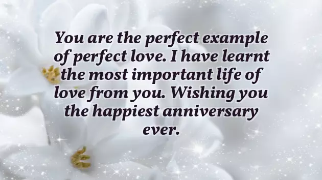 45Th Anniversary Wishes For Parents 45Th Anniversary Wishes For Parents