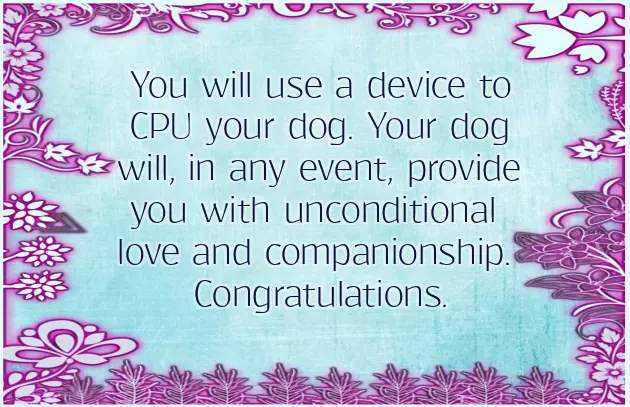 Congratulations On Your New Dog Congratulations On Your New Dog