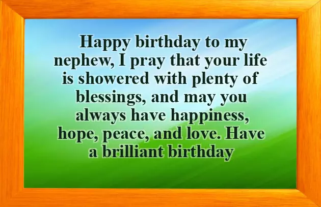 Happy Birthday Nephew Funny Quotes Happy Birthday Nephew Funny Quotes