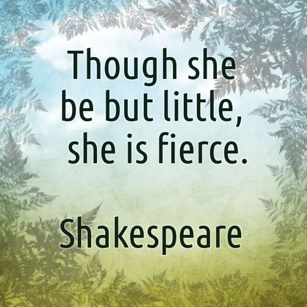 Funny Wishes For New Parents Funny Wishes For New Parents