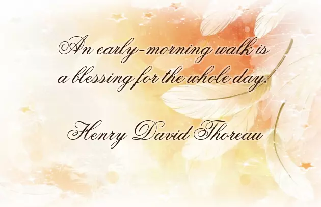 I Wish You Have A Wonderful Day I Wish You Have A Wonderful Day