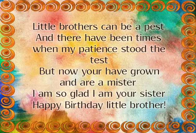 Happy Birthday Older Brother Funny
