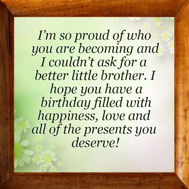 Birthday Wishes For Little Brother Quotes