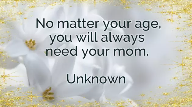 Hpy B Day Wishes Hpy B Day Wishes